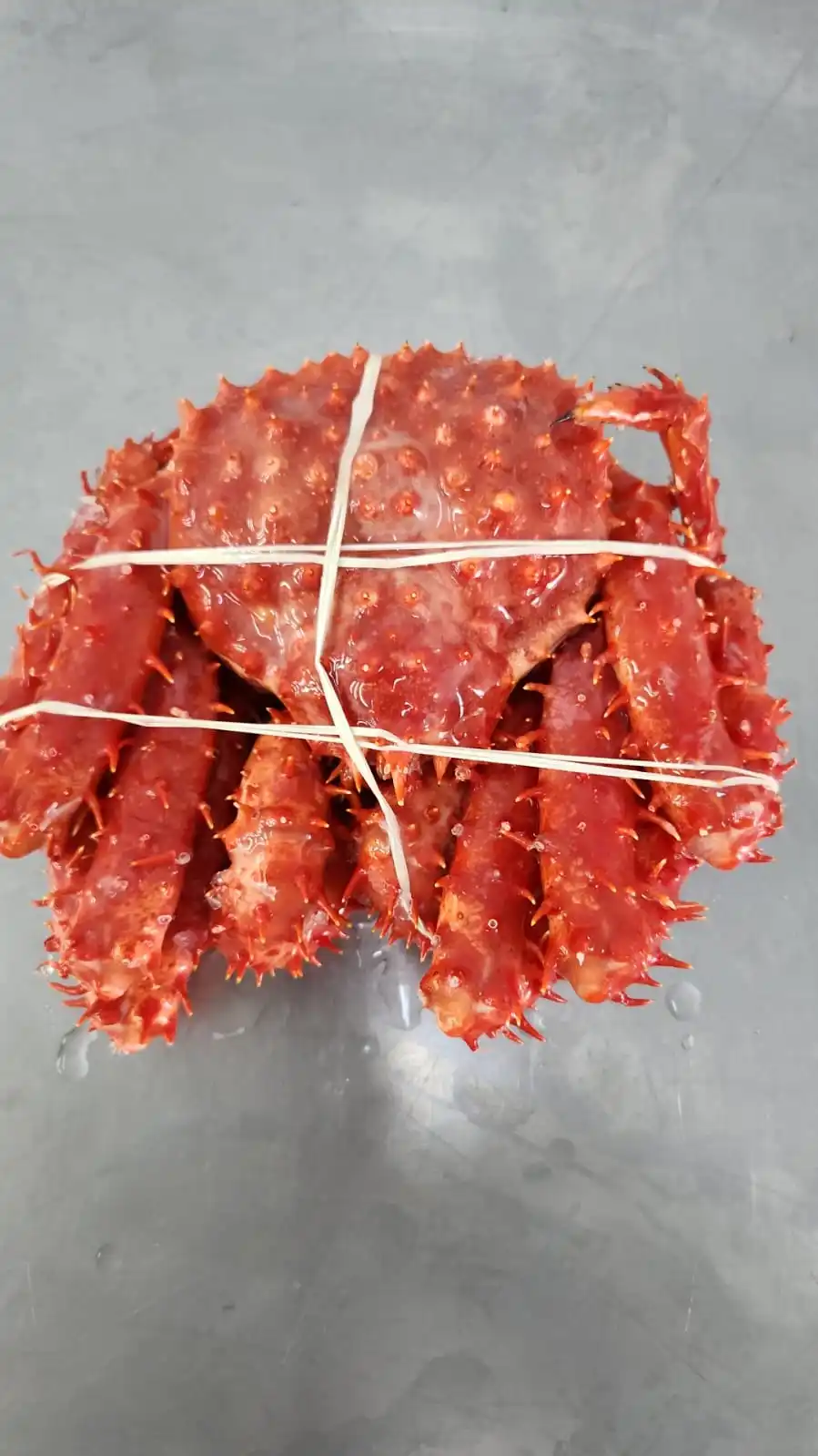 Frozen Boild King Crab Chile Origin New season