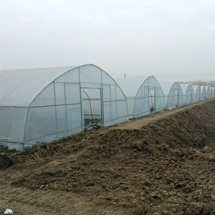 Baolida invernadero size 26ft 100ft plastic PE film high arch tunnel tomato greenhouse