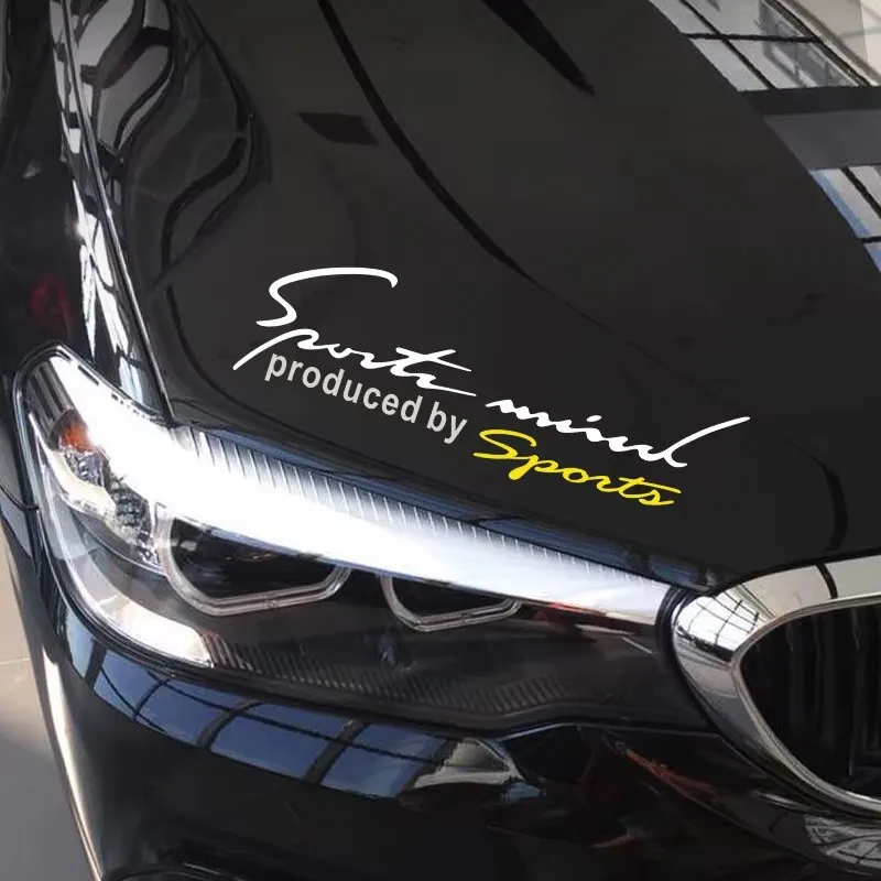 RTS Car headlight eyebrow stickers decorative personality black large sport car stickers hood hollow transfer stickers