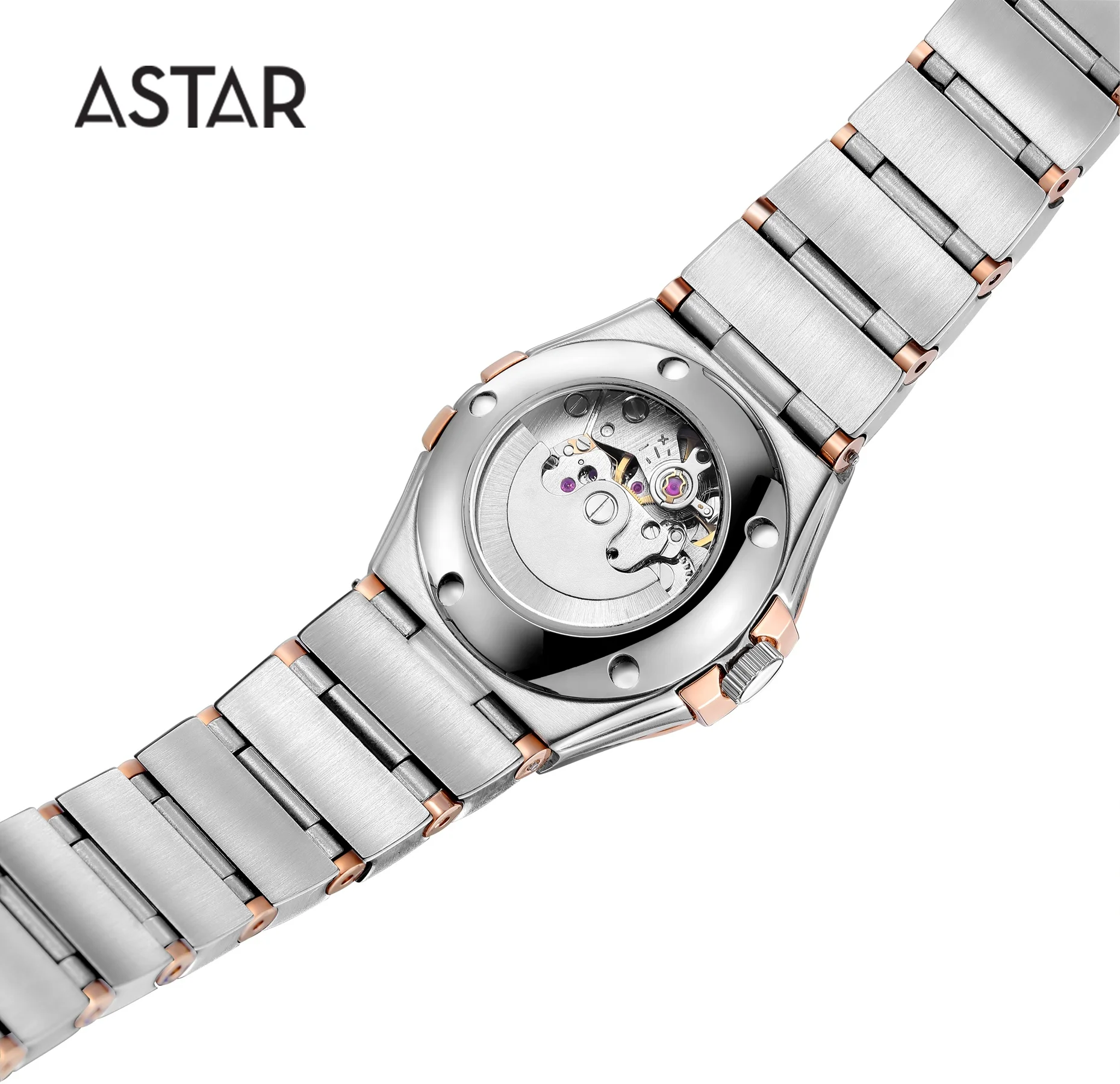 Dropship High Quality Sapphire 316L All Matt Stainless Steel Mechanical Automatic Transparent Caseback Watch Man for Sale