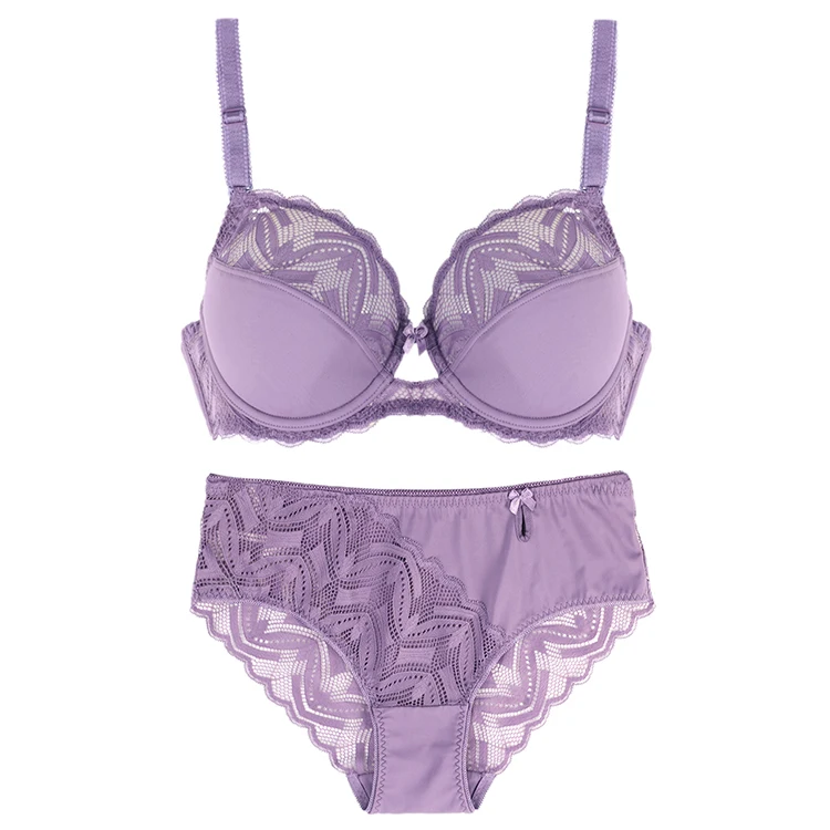 
Wholesale Lace Embroidered Transparent Sexy Plus Size Fat Women Large Bra And Panties 