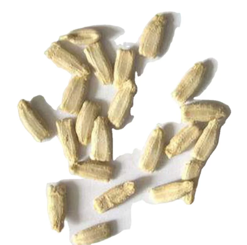 500 г, декоративное растение, новые Сушеные Семена лагенарии сицерарии для посадки