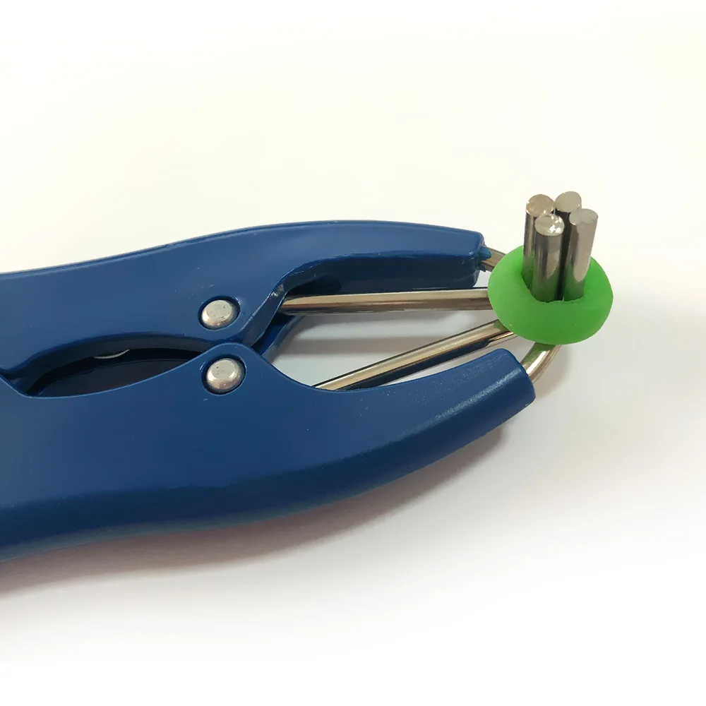 Piglets Sheep Goat Tail Goat Bloodless Castrator Bloodless Burdizzo Castration