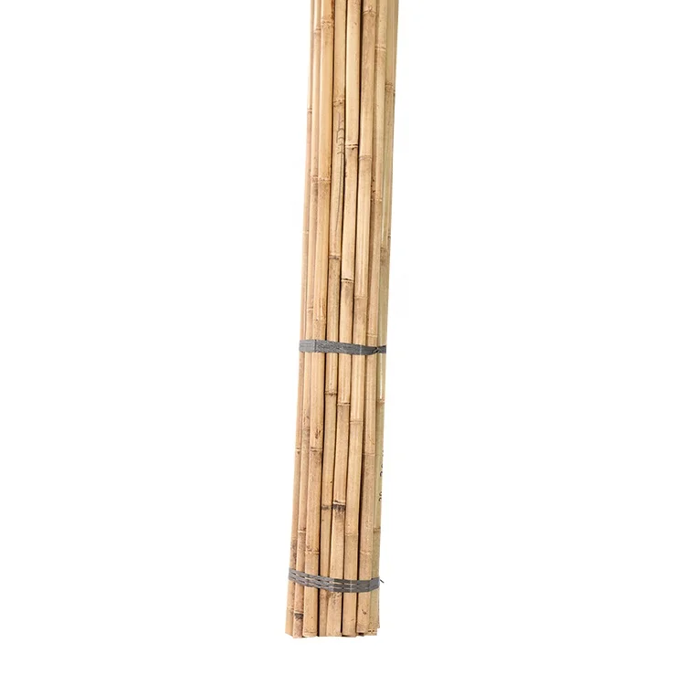 tonkin bamboo poles 500cm, Dia.30-35mm for tree support