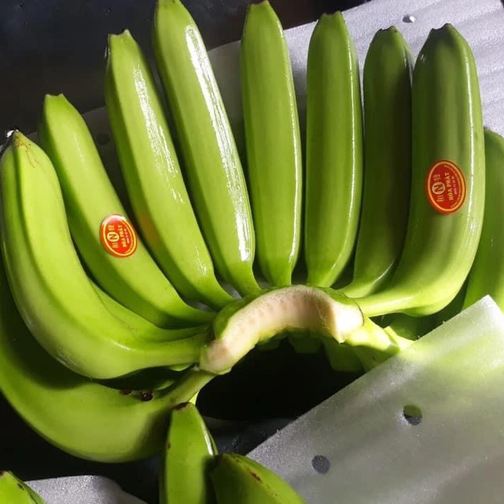 100% свежий банан, высокое качество на экспорт