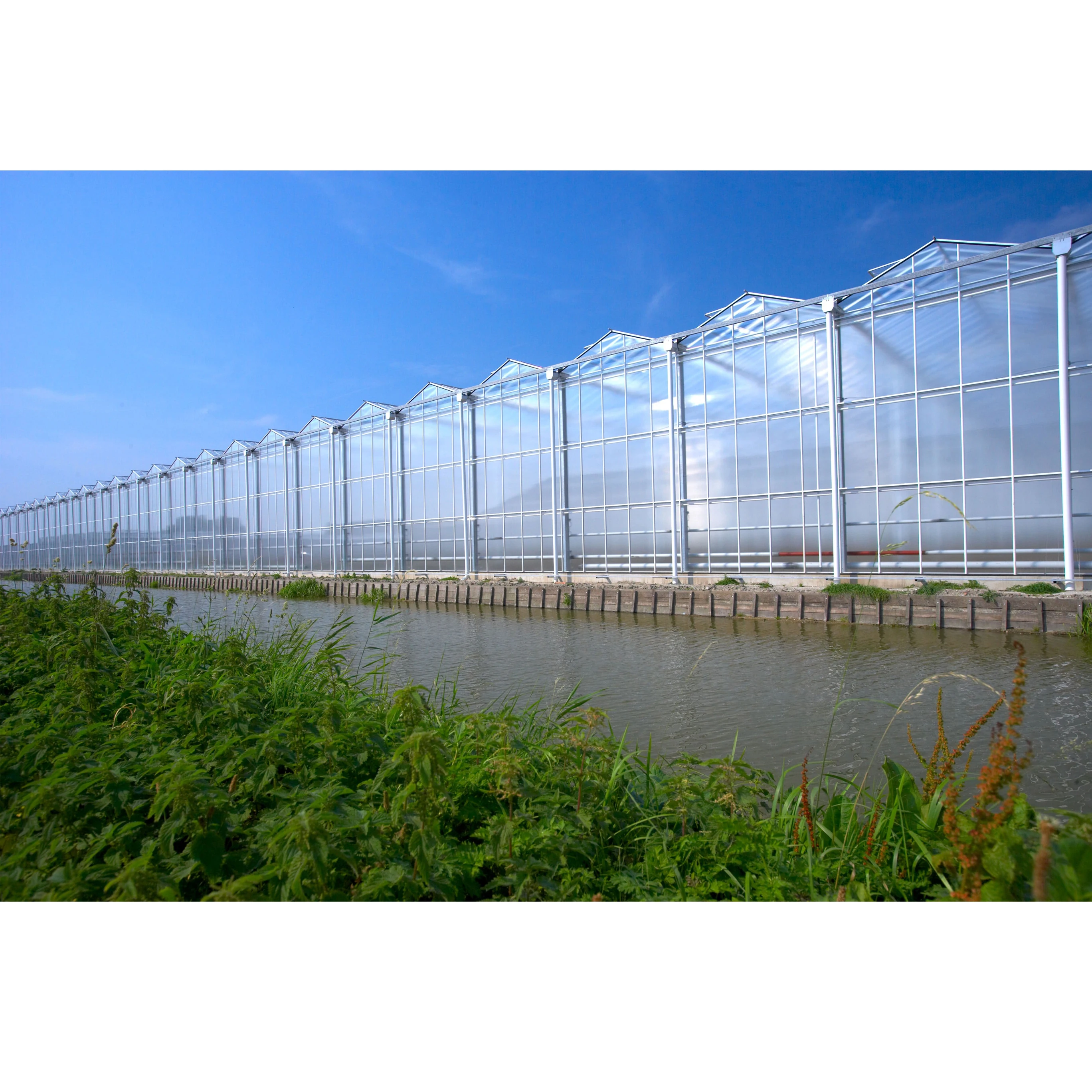 Large Multi-Span Steel Greenhouses with Hydroponic Systems Galvanized Polycarbonate Sheet Agricultural Greenhouses for Sale