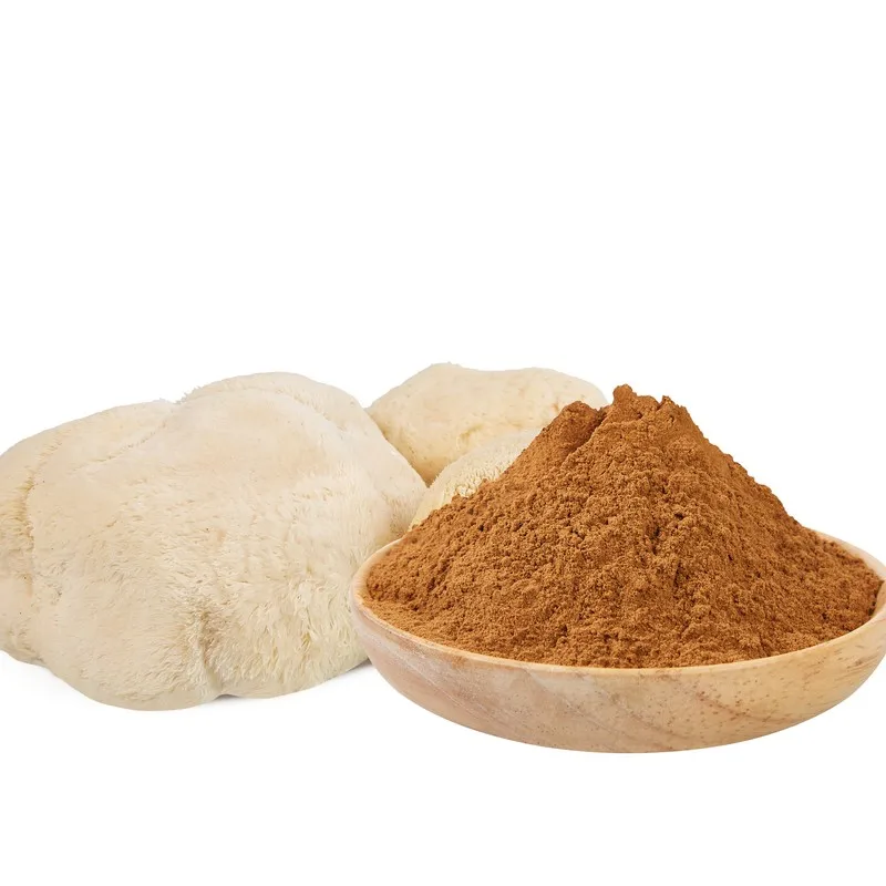 Organic Lions Mane Mushroom Extract Powder  Pure Herbal Mushroom Extract Powder for Natural Support
