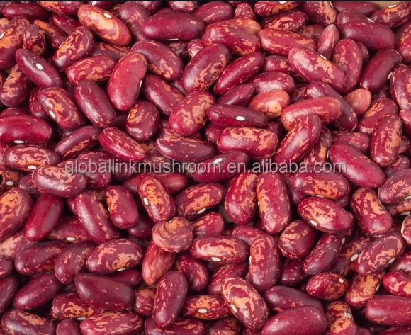 New Crop Red Speckled Kidney Beans