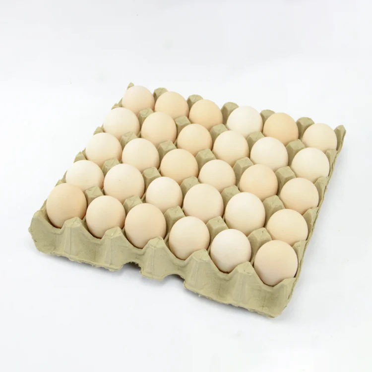 Factory Wholesale 30 Cells Paper Pulp Egg Tray 30 holes Eco-friendly pulp egg cartons recyclable paper eggs box biodegradable