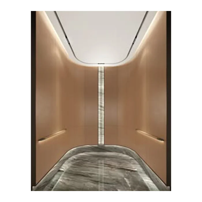 ZLE Best Selling Passenger Elevator Small Machine Room Roomless Residential Lift