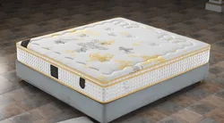 Modern Eco-friendly Coconut Palm Economical Custom 1.8m1.5m Mattress