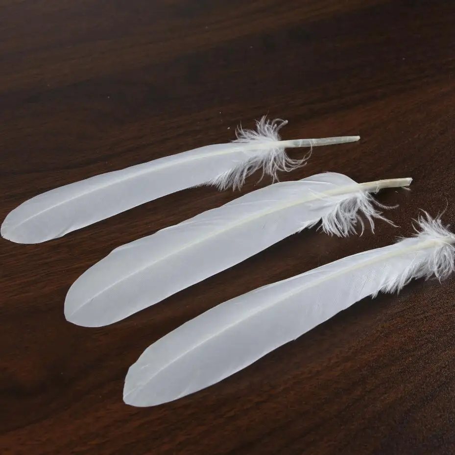Bulk soft white duck feather China Feather Manufacturer Direct Sale Indonesia Curved Feathers