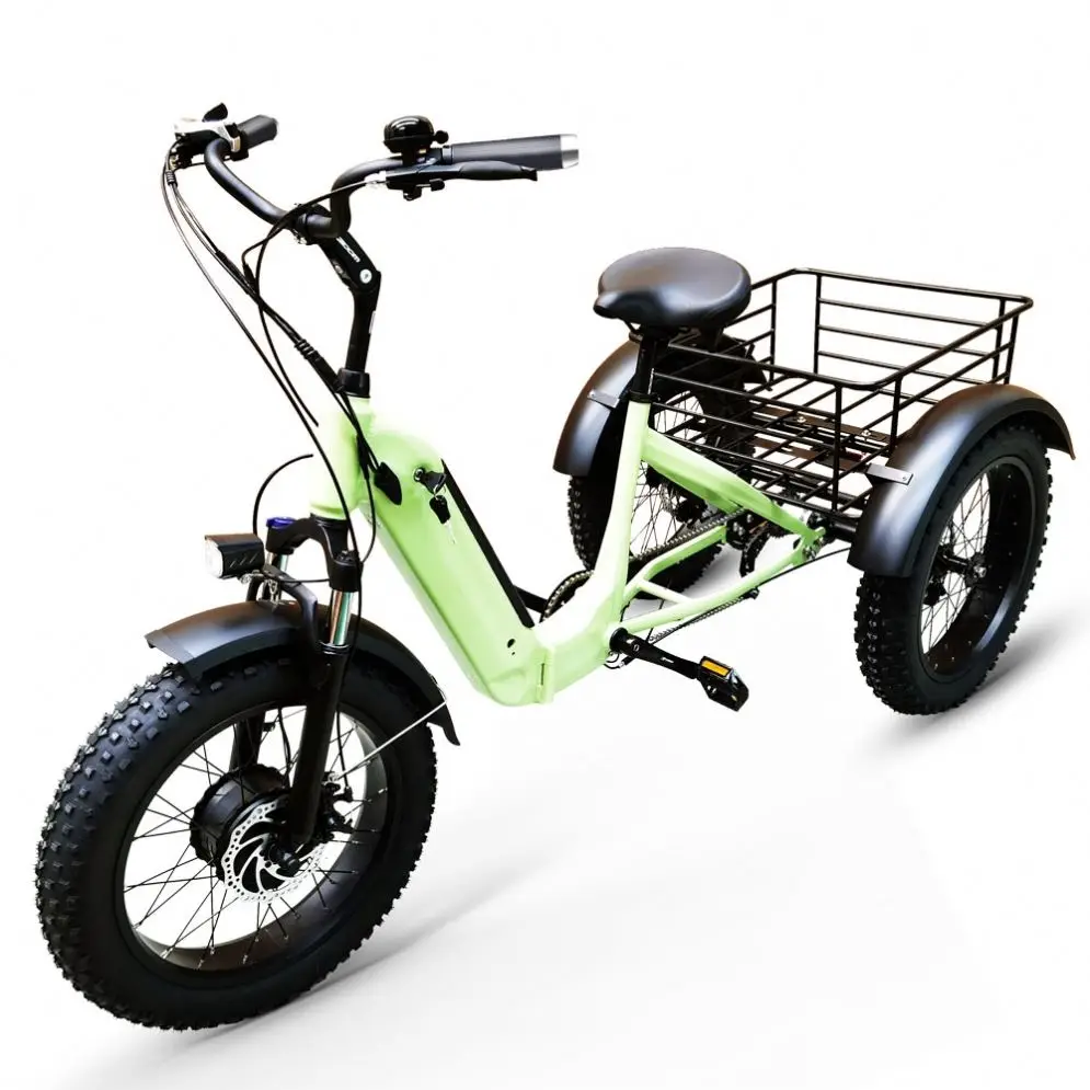 Modern Novel Design Factory Price Electric Tricycle Cargo