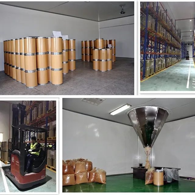 Hot Sale Pure Moringa Oleifera Seed Extract Best Price