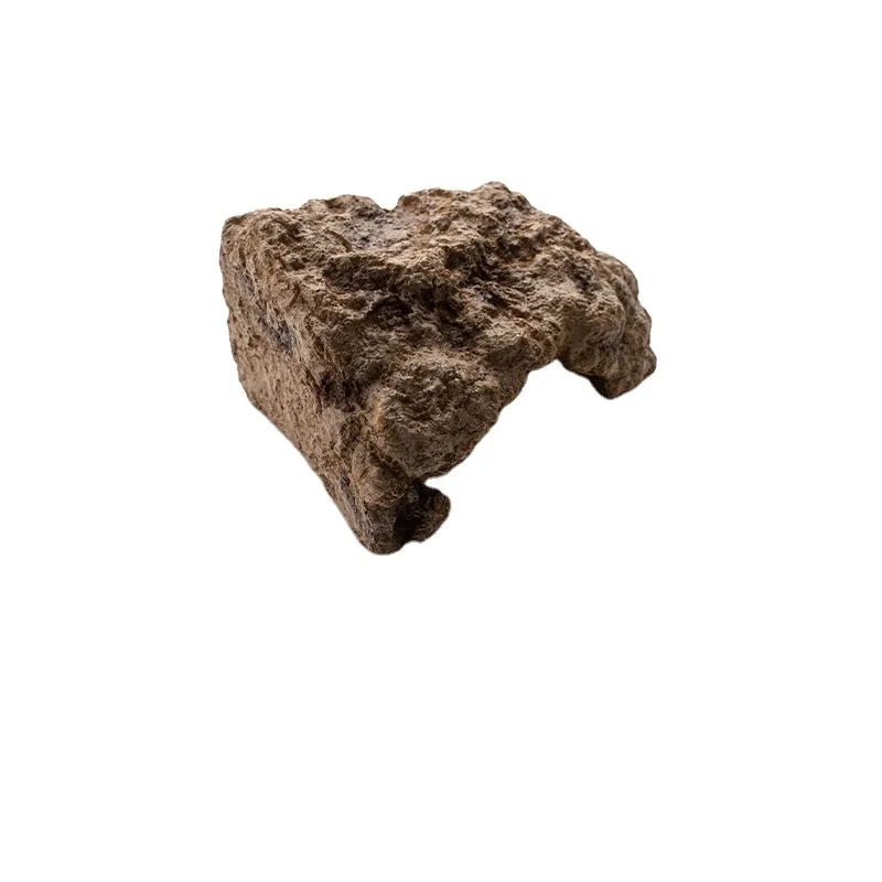 
 SZDB-001-003 Crawling tortoise lizard cave simulation resin dodging hole  