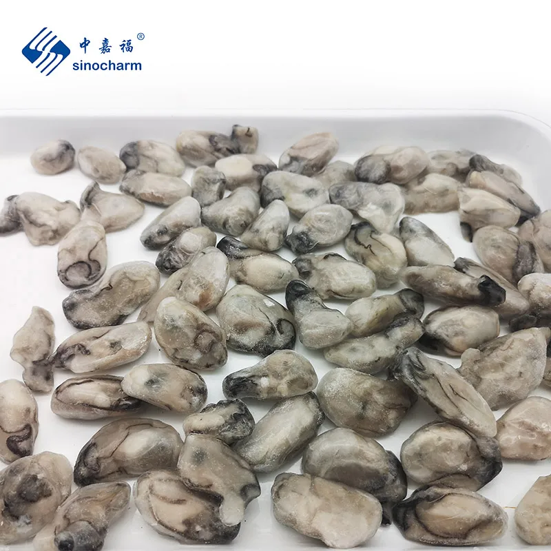 Seafood Oysters Meat Without Shell Whole Frozen Oyster Meat