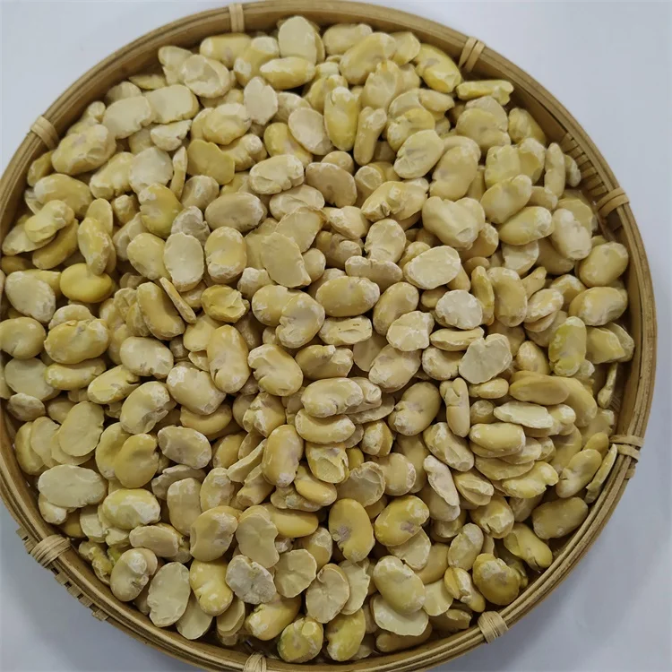 
High Quality Peeled Split Broad Beans Fava Beans Peeled By Machine 