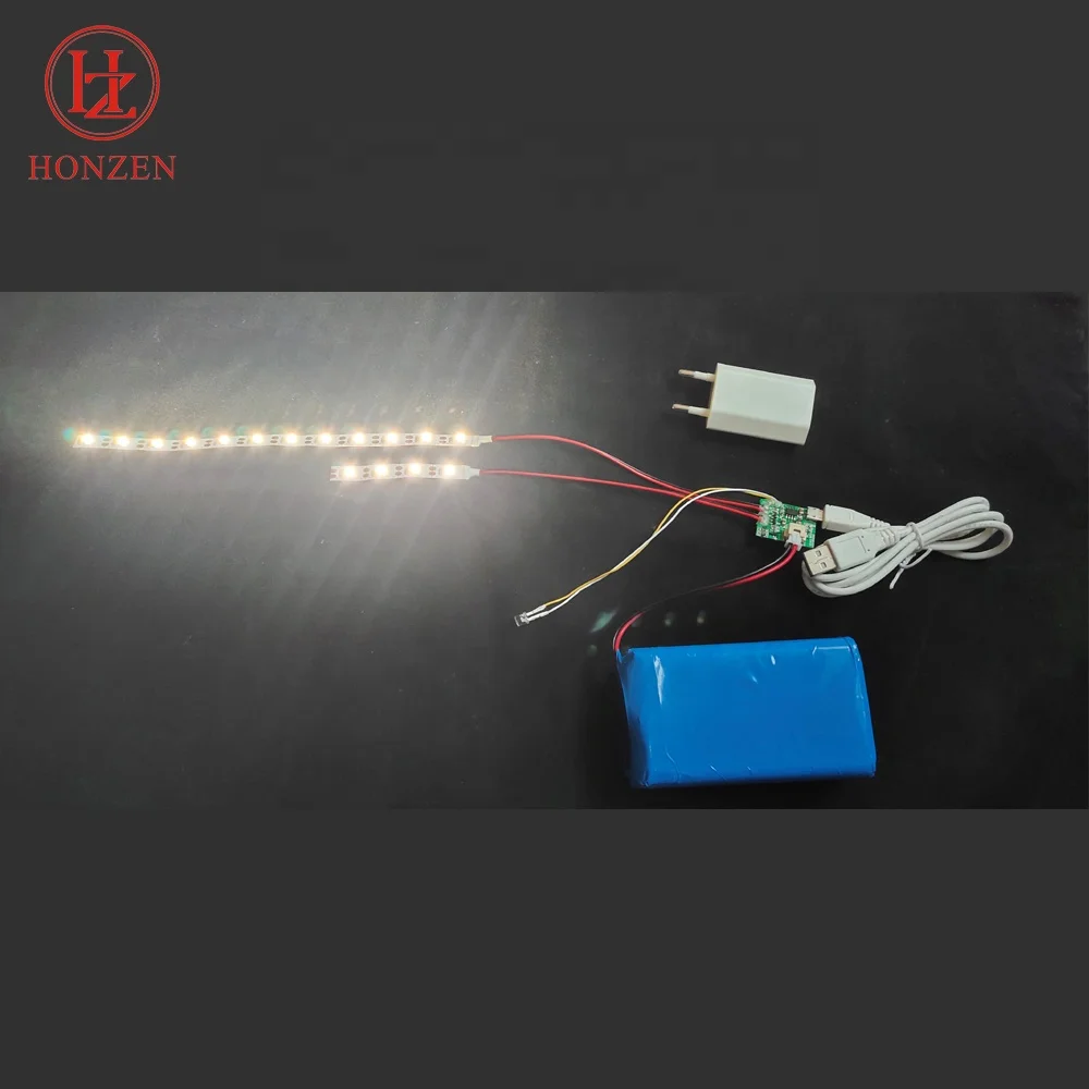 30000Mah rechargeable battery 2835 leds cob light sensor smart led flexible strip light