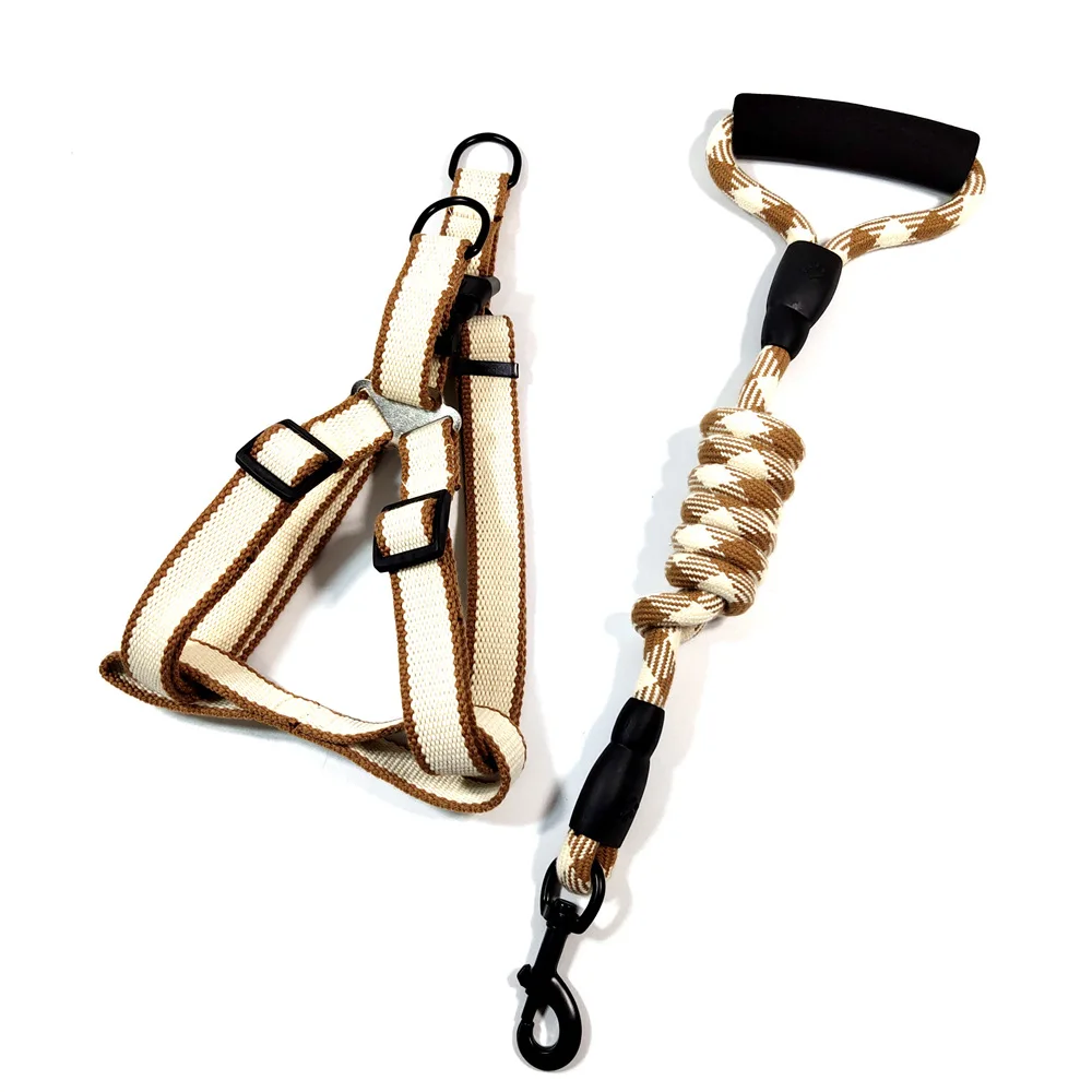 
Amazon hot style round cord cotton double color dog leash foam comfortable handle for large dog leash 