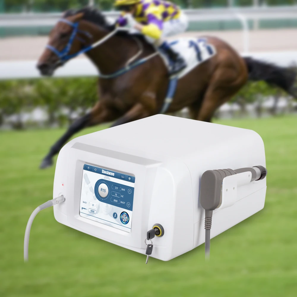 Astiland ESWT Equine Use Animal Dog Horse Veterinary Electric Massager Therapy Equipment