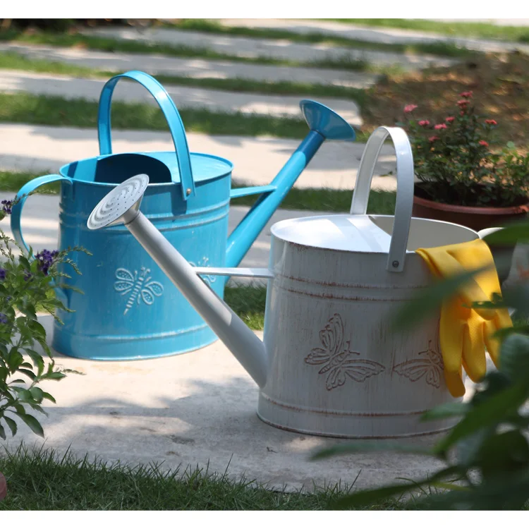 Modern Style Factory Price Promotional Wholesale Metal Garden Pots Watering Can for Outdoor Indoor House Plants