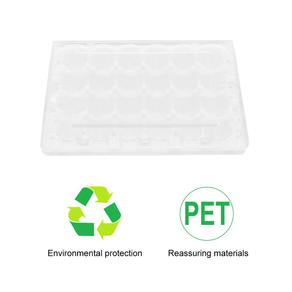 PET Plastic Jumbo Quail Egg Tray Packing Blister 12 18 30 Holes Supplier Vacuum Formed Quail Eggs Tray Boxes