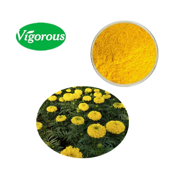 best quality 10% Lutein Tagetes erecta extract powder Tagetes erecta extract