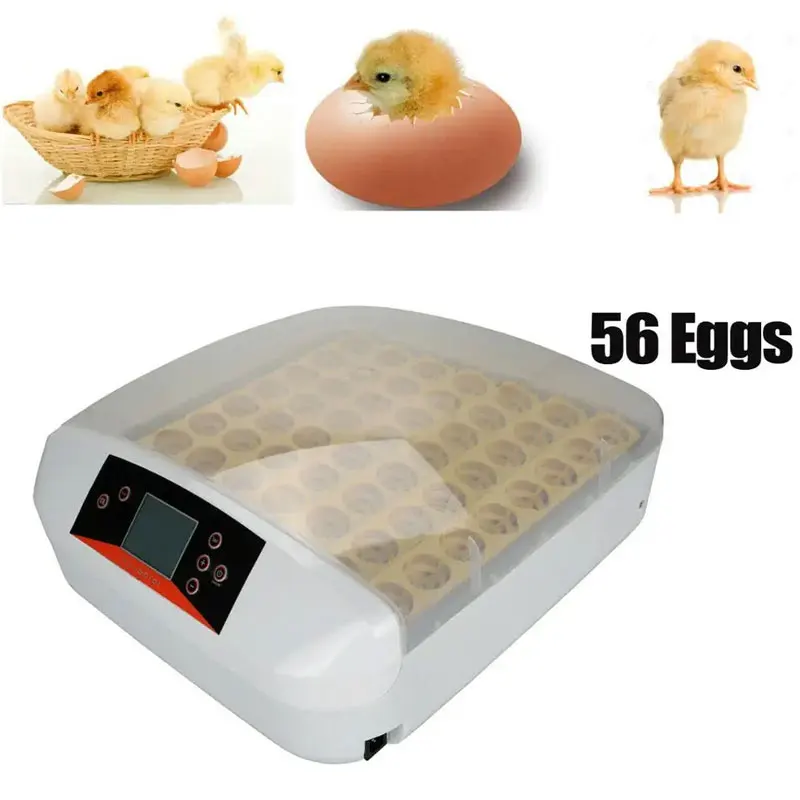 Automatic Commercial Thermostat Reptile Incubator Egg Automat, Free Fample Fully Automatic Egg Incubators In Ethiopia