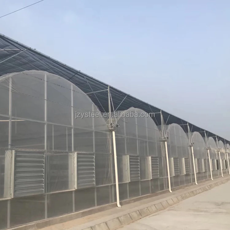 China supplier cheap price tunnel greenhouse