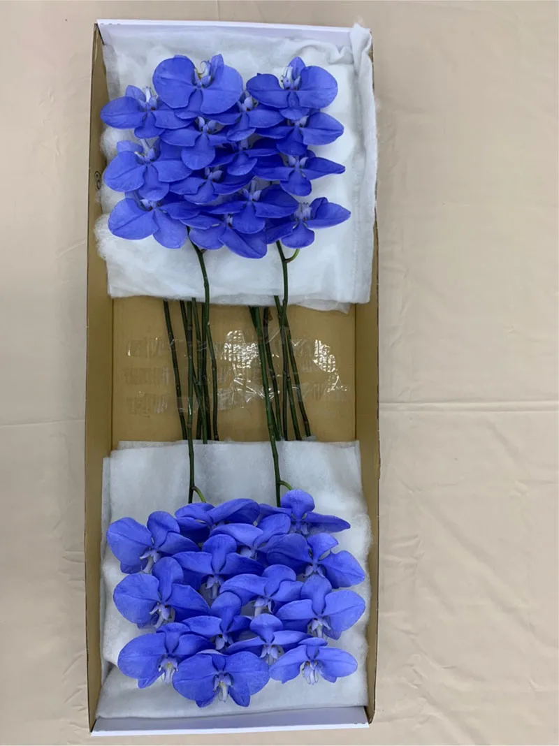 Wholesale Cheap Phalaenopsis Orchid Preserved Flowers Lightning Indigo Fresh