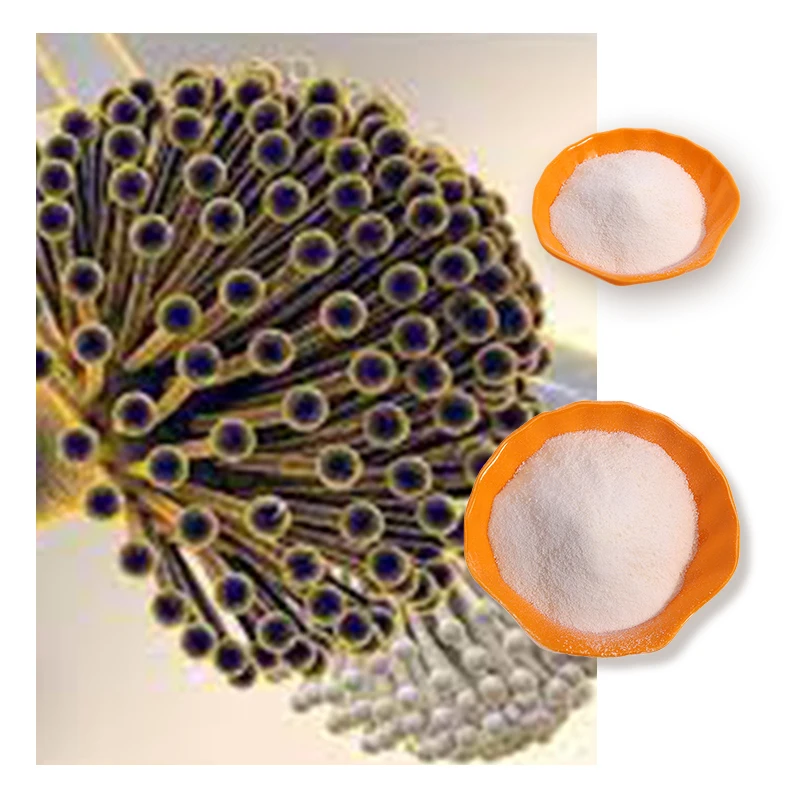 Natural source Fungal chitin chitosan Aspergillus Niger chitosan