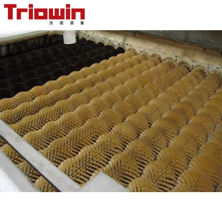 Tomato factory washing machine/air blow washer