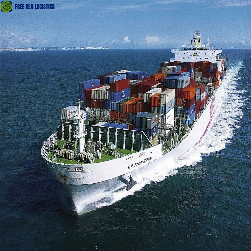 Freight shipping forwarder agent from china to US CANADA EU DDU DDP door to door service