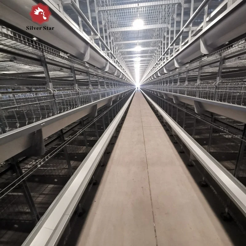 Battery cages laying hens poultry farm house design chicken coop in Malaysia