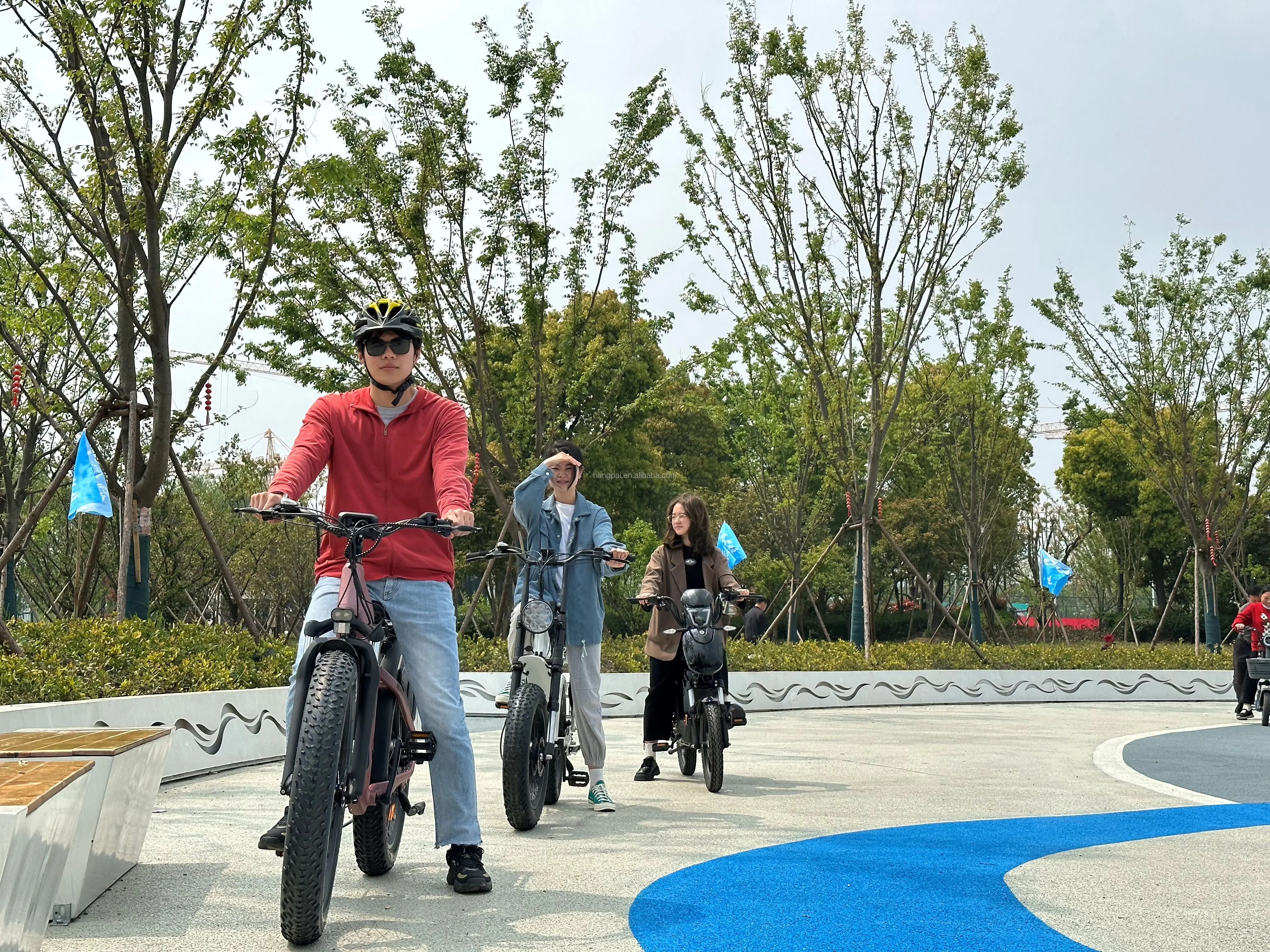48V 20ah lithium battery with dual 500w rear hub motor e bikes electric bicycle   e-bicycle e-bike electric bicycle