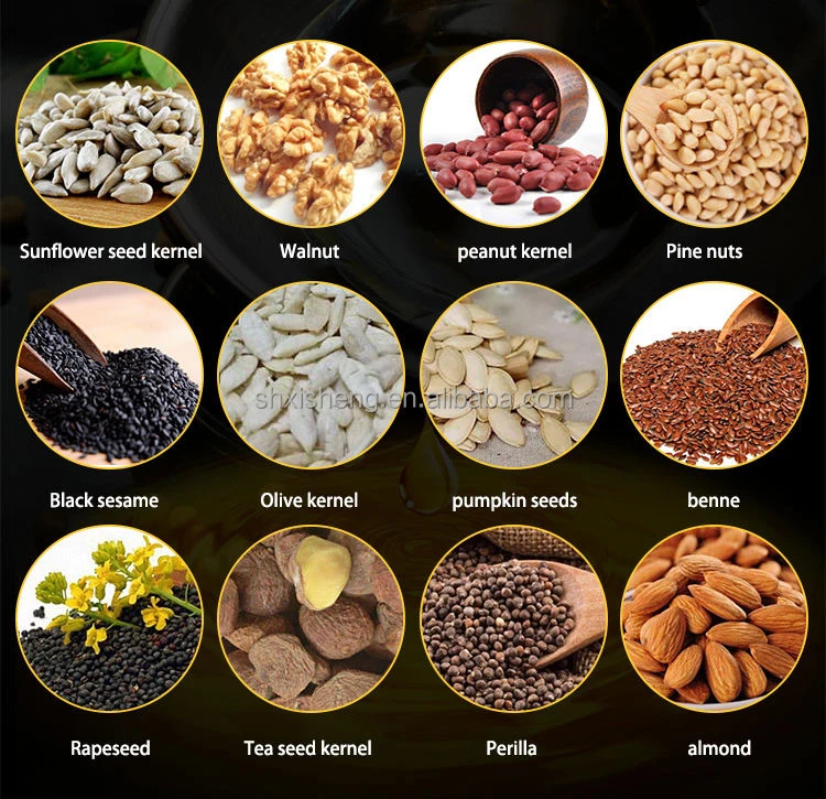 Cold pressing 3-7kg/h made in china coconut peanut sesame flaxseed moringa copra oil expeller machine in good prices