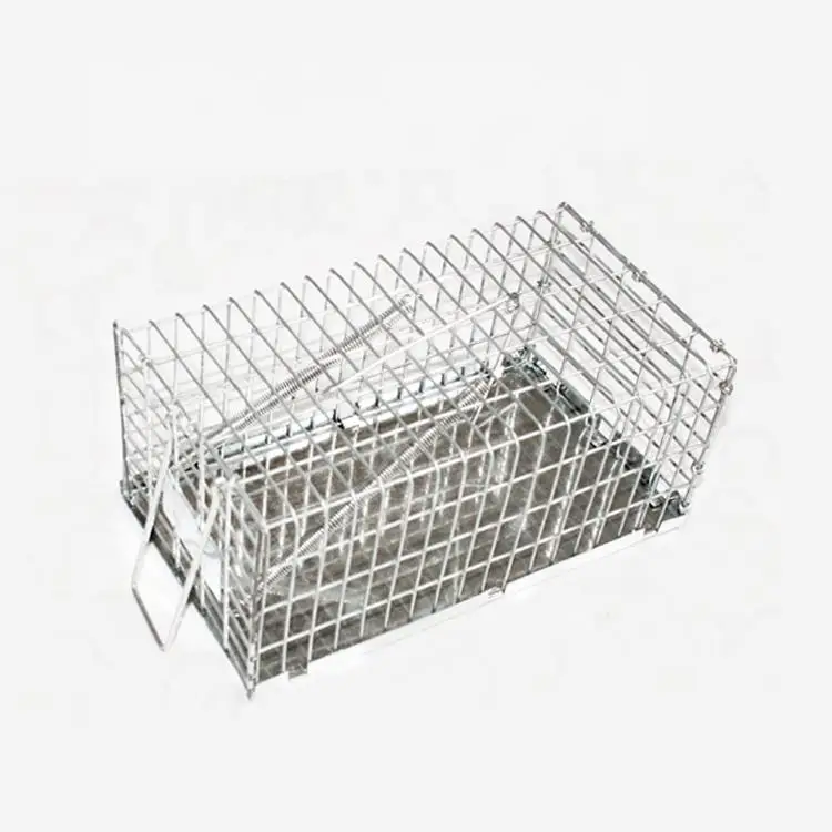 pest animal control iron wire metal mice live humane mouse trap cage mouse with metal base plate