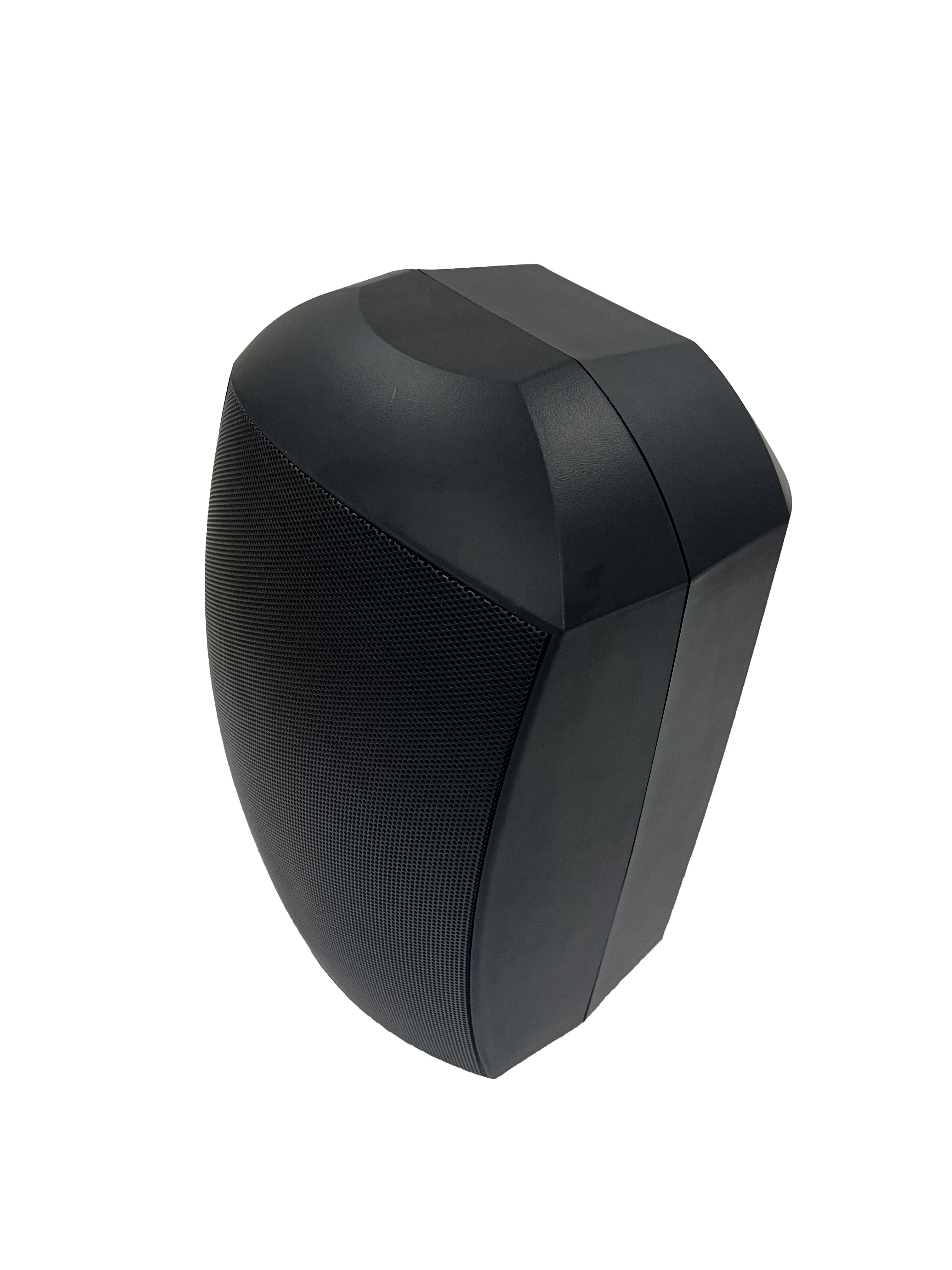 PA адресная система 6 5 дюймов 40W-20W-10W-5W 100V и 8ohms наружный водонепроницаемый настенный динамик
