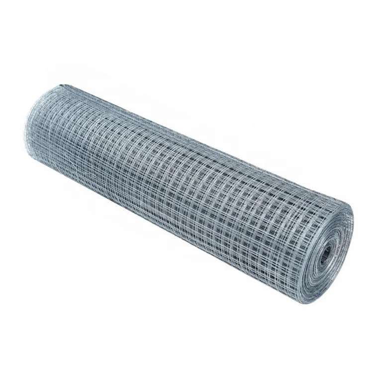10 gauge pvc coated / galvanized bird cage welded wire mesh roll