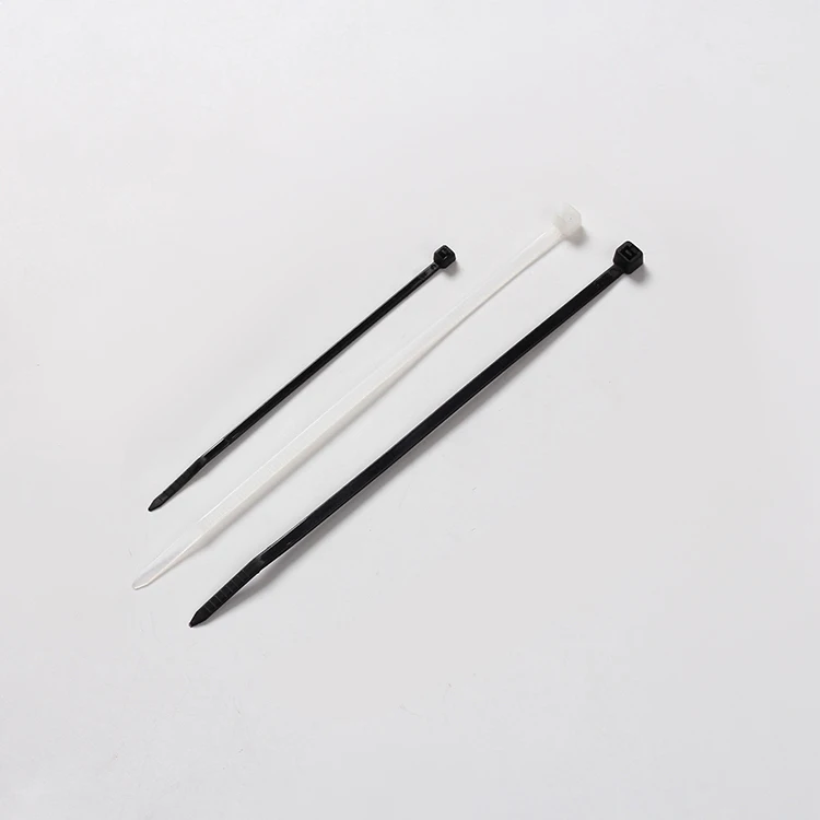 Wholesale ZDS-2.5*100 Nylon 66 Plastic Cable Ties Zip Tie for Bunding Wires