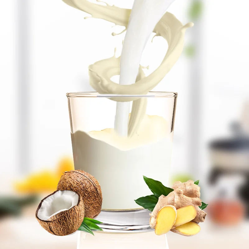 OEM Coconut ginger milk powder from nanguo