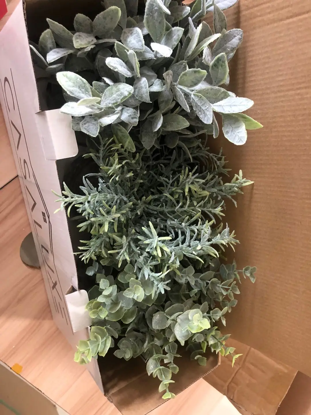 YAYUN A-3009 Mini Toned Plastic Potted Artificial Eucalyptus Faux Greenery In Paper Pulp Pots