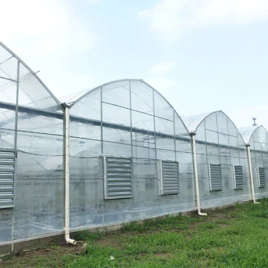 Manufacturer wholesale single arch shed internal and external thermal insulation strawberry greenhouse