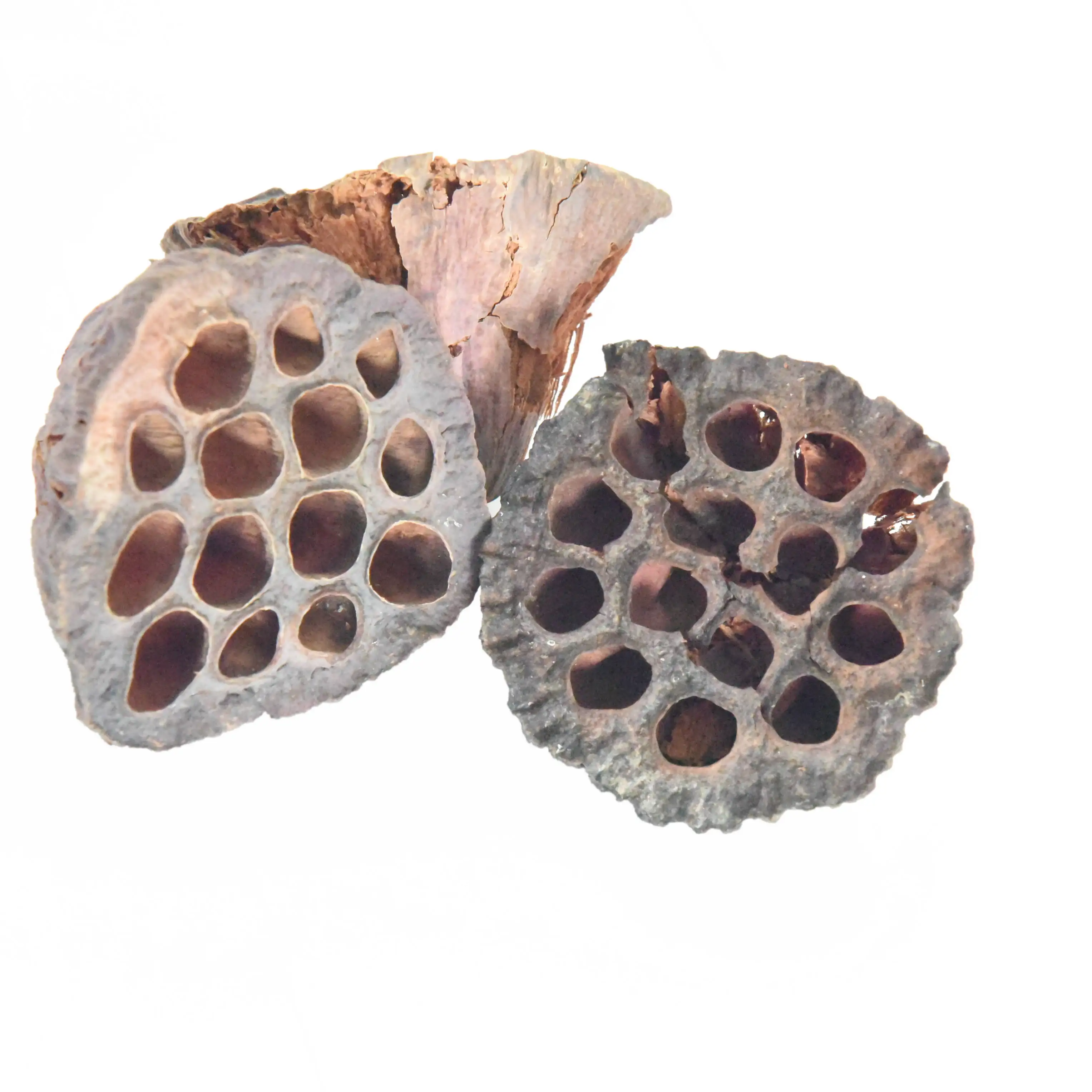 
Whosale herbs Lianfang NELUMBINIS RECEPTACULUM Nelumbo nucifera crude medicine organic herb lianfang 