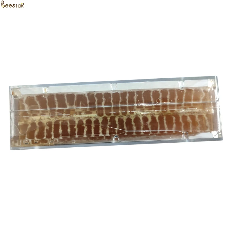Natural Comb Bee Honey Raw Pure Natural Polyflower Honey Sales in Bulk from China Honey