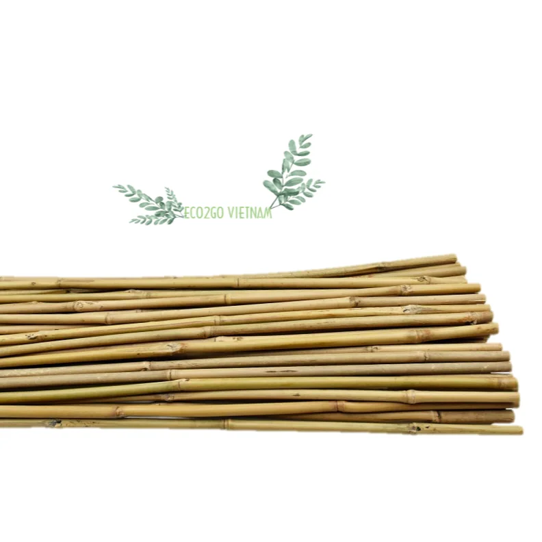 Sustainable and High Quality Bamboo Stake/ Bamboo Canes/ Bamboo Pole for Using at Agriculture Made in Vietnam