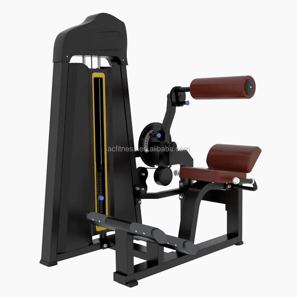 Lower back Body Building Total Abdominal Crunch Gym Fitness Machine
