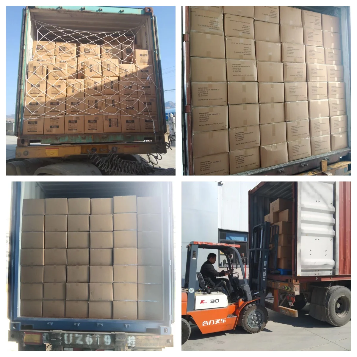 Factory price Fish feed extruder turtle aquatic feed production line dried shrimp food machine