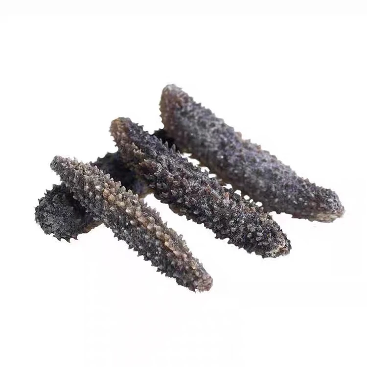Wholesale Indonesia Sea Cucumber Price
