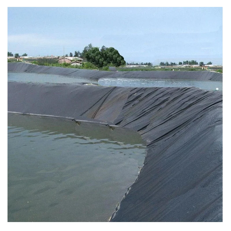 HDPE Geomembrane Waterproofing Fish Pond Liner
